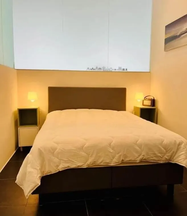 شقة Dansaert Bright Loft بروكسل